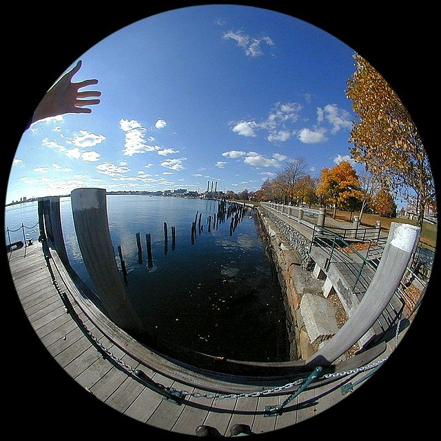 Линза рыбий глаз для камеры телефона (fisheye) — купить недорого в Екатеринбурге